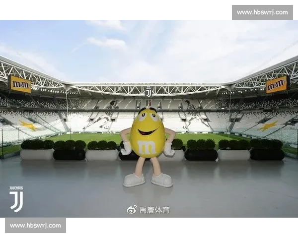 体育赛事区域招商新机遇探索与发展战略分析